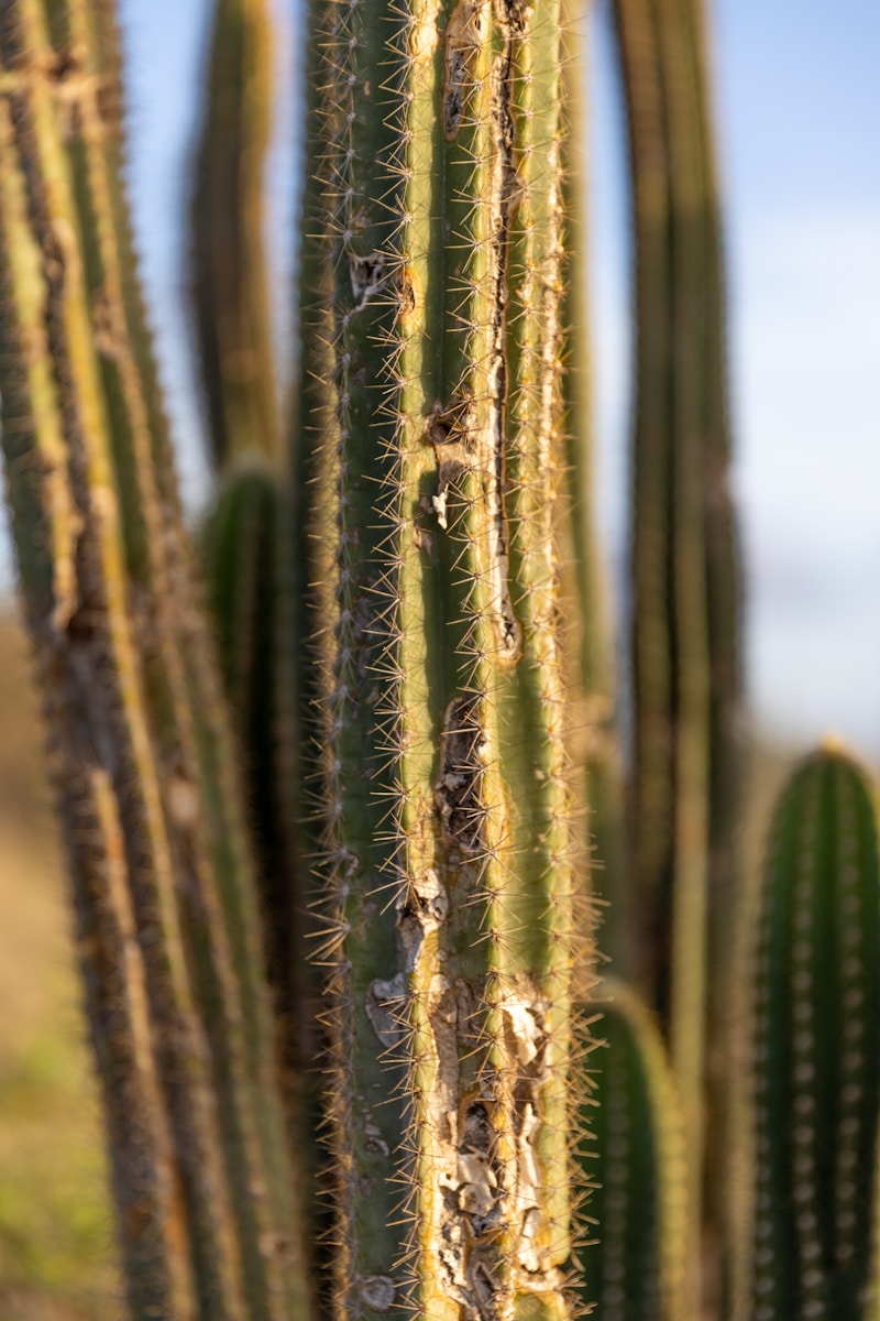 water droplets on brown surface